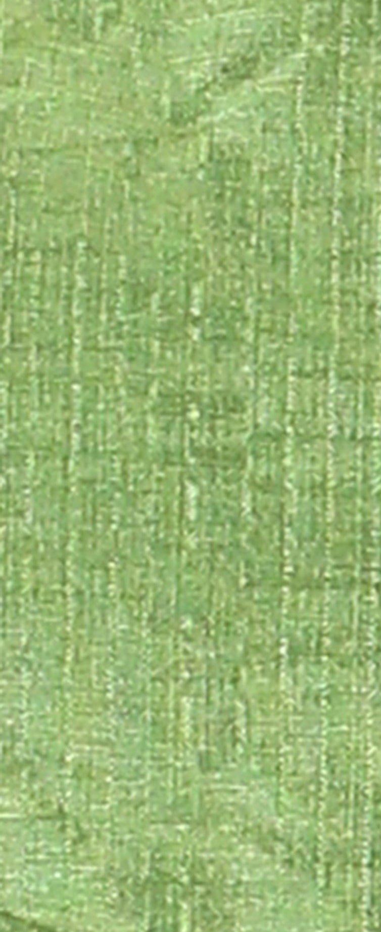 Light Green |Raw Silk |Blouse Apparel & Accessories 32 34 36 Blouse blouses Green Light Green Riwaayat thehangrlight-green-raw-silk-blousethehangr-134971